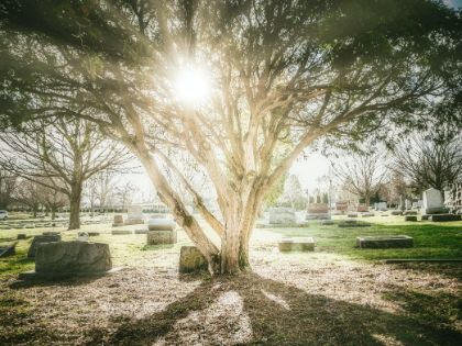 Servizi Cimiteriali Servizi Cimiteriali