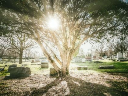 Servizi Cimiteriali 