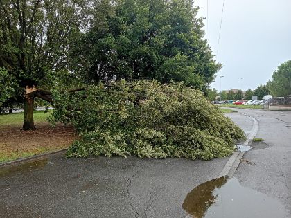 Maltempo, parchi e giardini chiusi a Castelfranco di Sotto