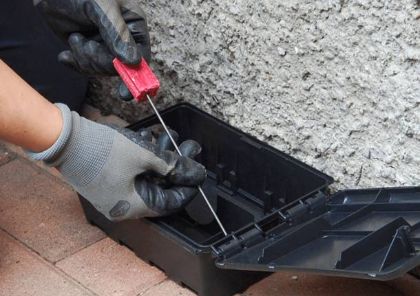 Derattizzazione Derattizzazione