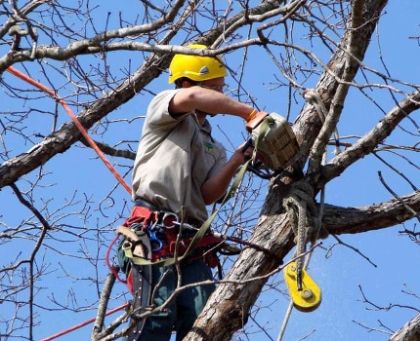 Chiusura al transito di via Ponticelli nella mattinata di giovedì prossimo, 19 febbraio