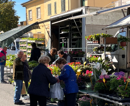 Aggiornamento graduatorie mercato del lunedì in Castelfranco