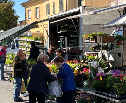 Graduatoria Miglioria Mercato del Lunedì – Castelfranco 2024