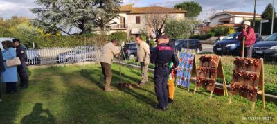 giornata dell'abero 2025