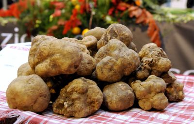 TARTUFO BIANCO