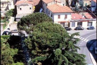 Castelfranco dall'alto