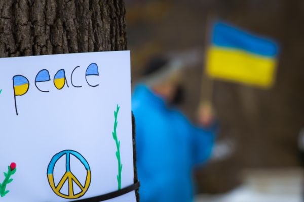bandiera ucraina bandiera ucraina