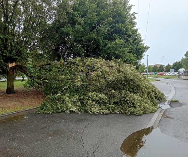 Maltempo, parchi e giardini chiusi a Castelfranco di Sotto