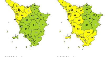 FB_IMG_1770124829312