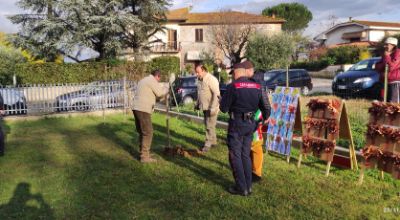 giornata dell'abero 2025