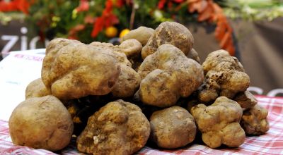TARTUFO BIANCO