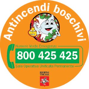 antincendi boschivi